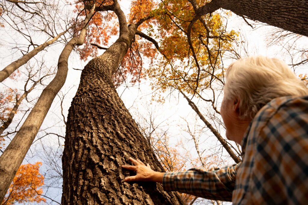 Create your own end-of-life plan this holiday to outline your wishes and clear directives for what you want to happen when you pass away.