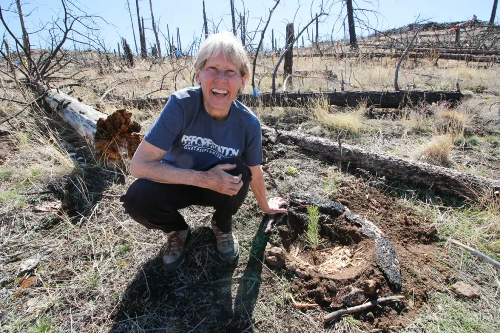 a woman stands with a tree sapling. Our partner one tree planted