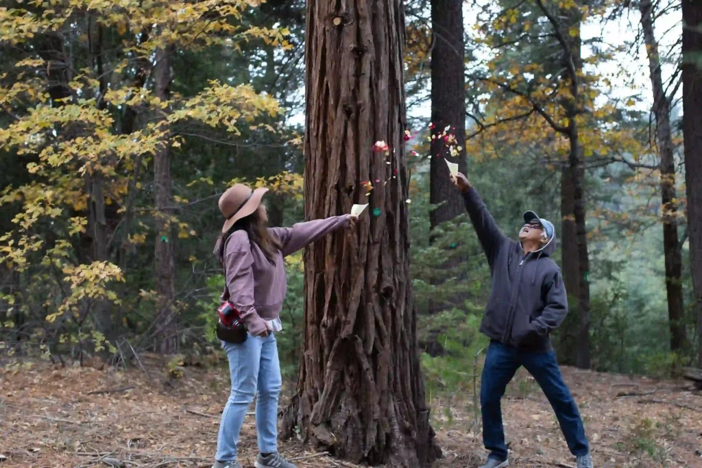 A young couple spreads cremated ashes with rose petals in a forest memorial