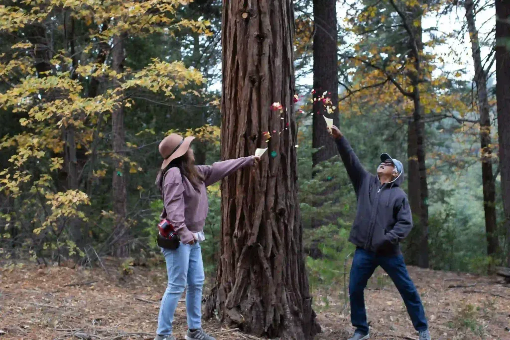 large memorial tree with family spreading leaves. Better Place Forests supports a casual memorial service