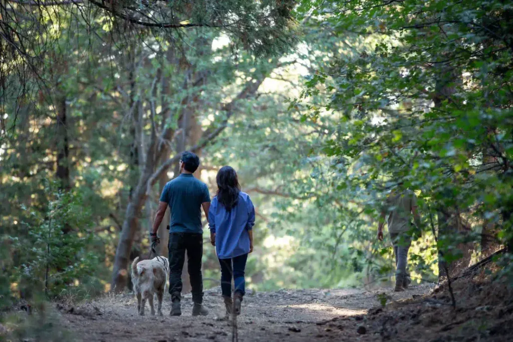 A couple walks down a path with their dog in a memorial forest