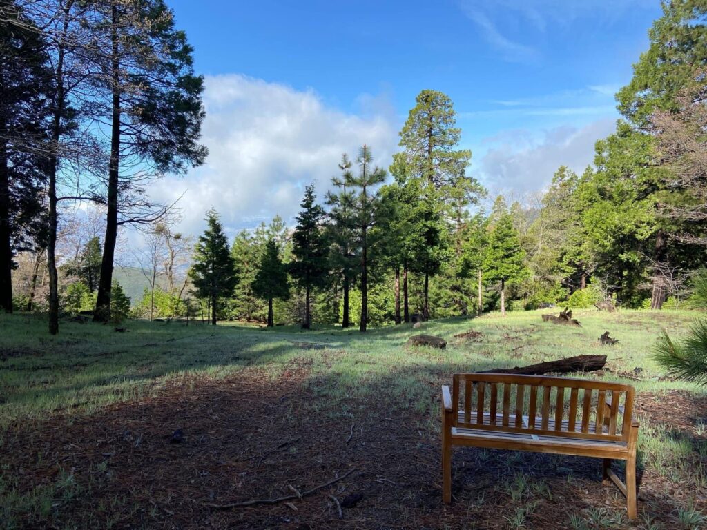 Lake Arrowhead
