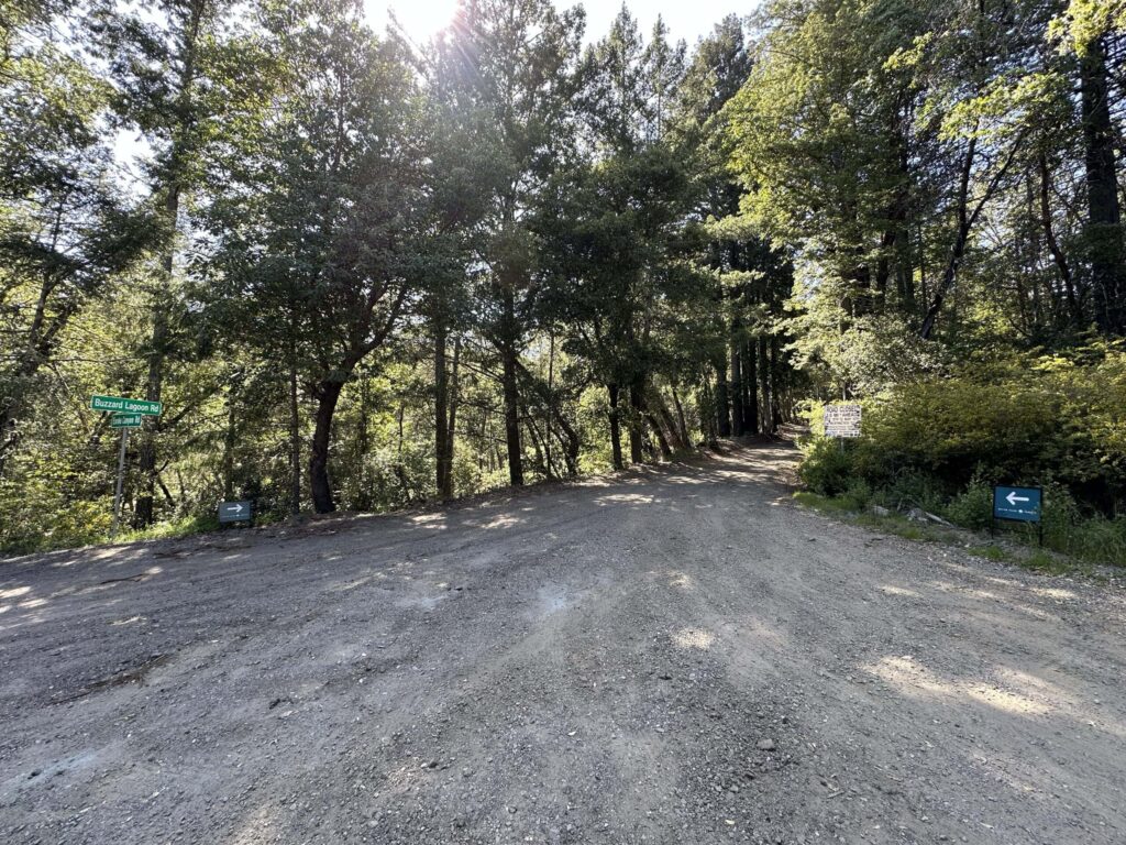Turn Onto Buzzard Lagoon (from Hwy 17) to arrive at Better Place Forests Santa Cruz