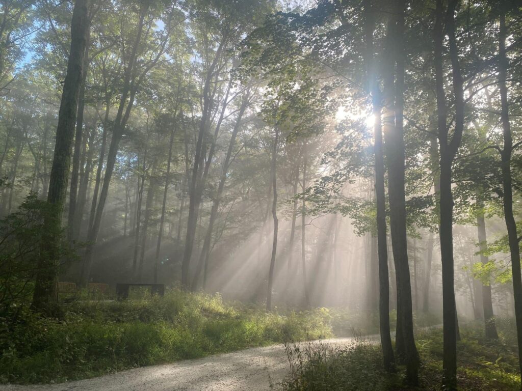 Road in Litchfield Hills