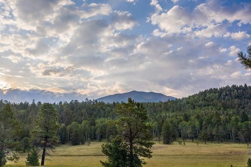 Better Place Forests Berkshires