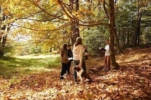 A memorial ceremony in Better Place Forests Berkshires