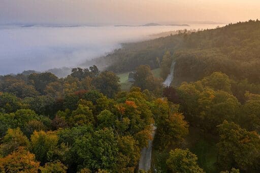 Better Place Forests Berkshires