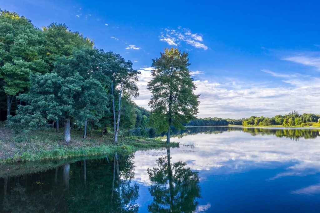 Trees line Fish Lake within Better Place Forests St. Croix Valley
