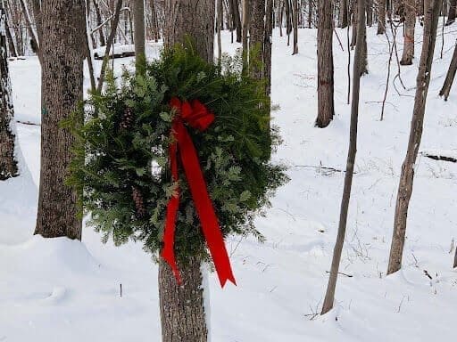 Christmas wreath