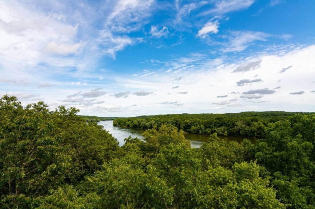 Better Place Forests Rock River