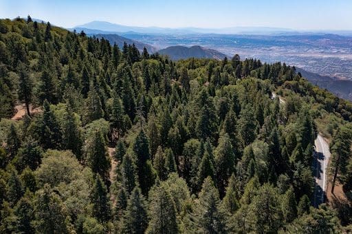 Better Place Forests Lake Arrowhead