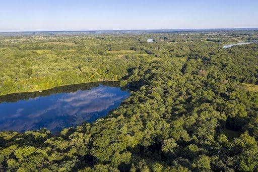St. Croix Valley forest