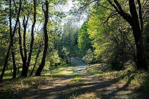 Better Place Forests Yosemite Gateway