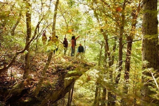 Senior couple exchanges gifts while on an Earth Day hike in a Memorial Forest