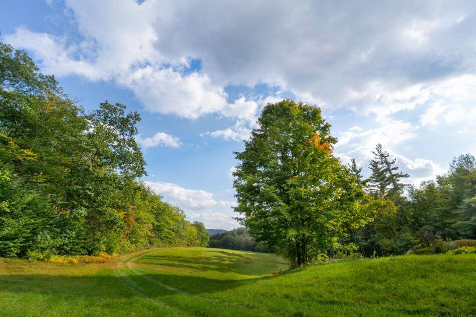 A view of a meadow bordered by large stands of trees in Better Place Forests Berkshires