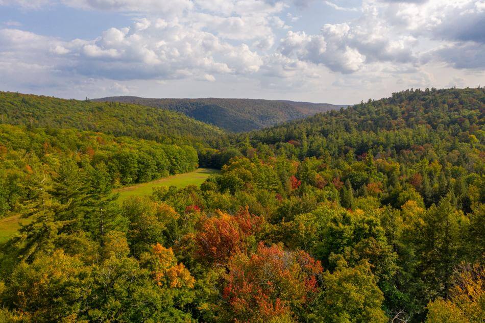 An aerial view of Better Place Forests Berkshires