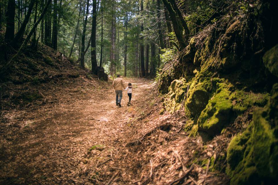 Dad and daughter walking through a forest and talking. We know that finding the perfect words to pay tribute to the man that helped shape your life can be hard. Crafting an obituary for fathers or father figures is not just about capturing their essence in words; it's about celebrating their love, their legacy and the wonderful moments shared.