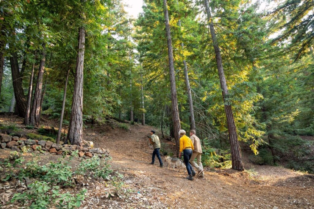Better Place Forests Santa Cruz