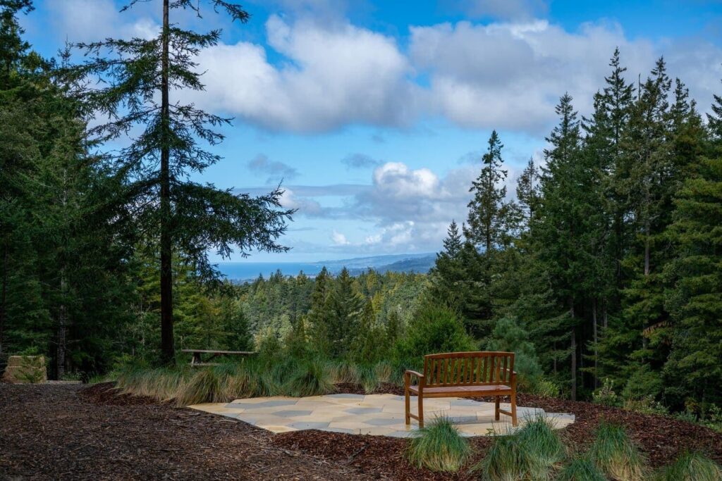 Bench in a Better Place Forests Memorial Forest looking out over view of the ocean. A place to contemplate deep topics like the King James Bible and cremation or uplifting phrases for a sick person.