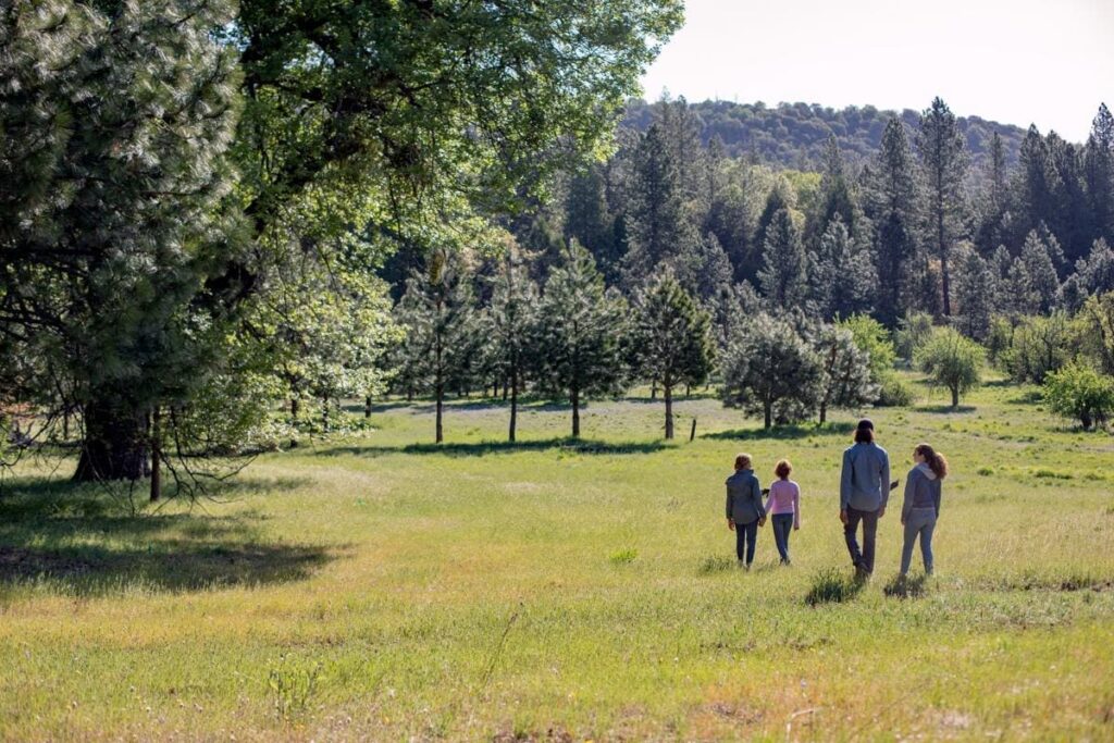 Better Place Forests Yosemite Gateway