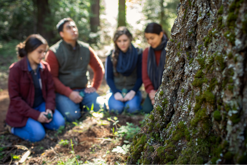 An image of a family spreading ashes around a memorial tree. Delivering a memorial tribute to their loved one