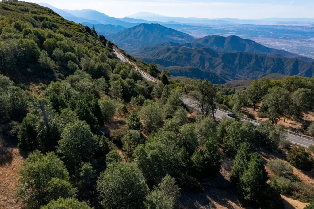 a birds eye view of our Lake Arrowhead Forest