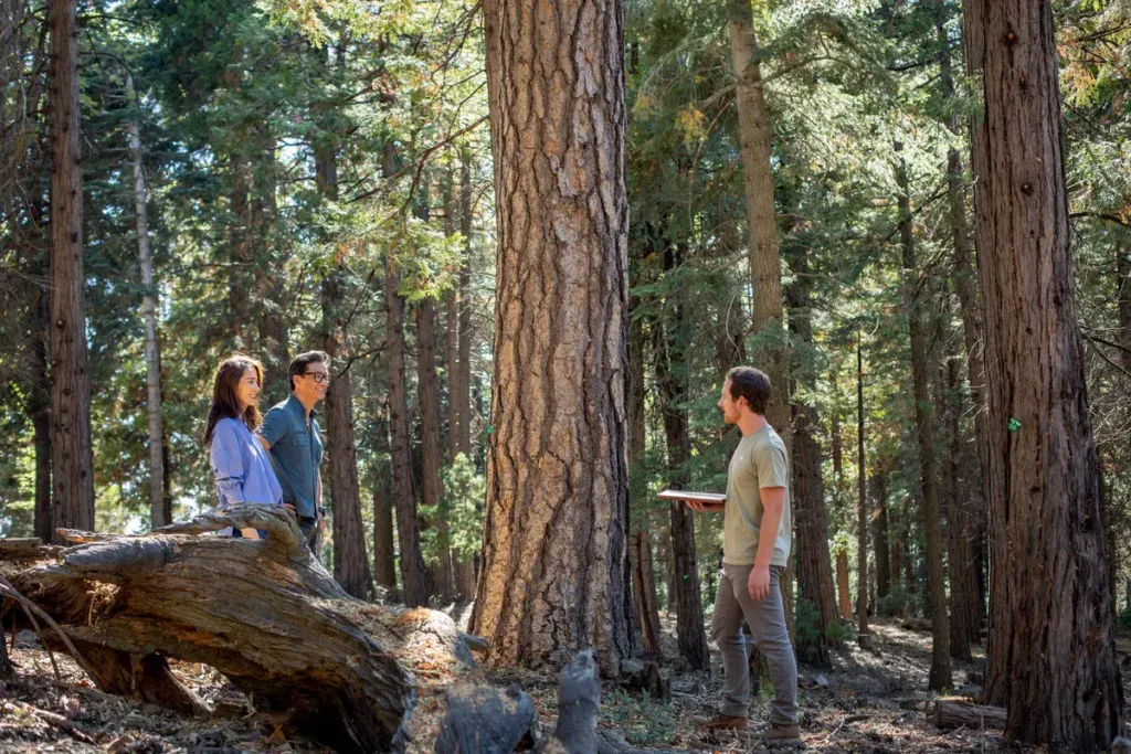a family in a memorial forest with a redwood tree talking about what people are choosing