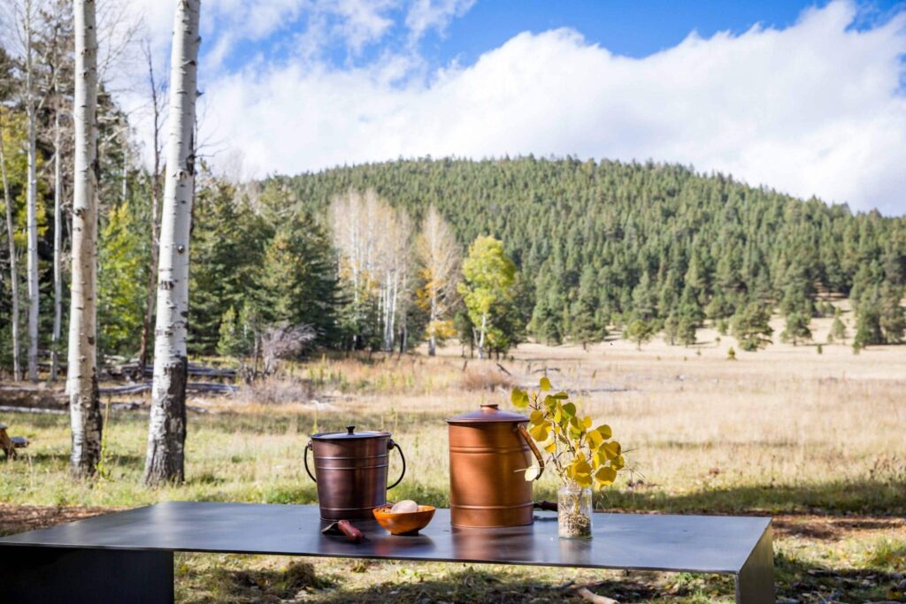 ashes and soil buckets in a forest. This is an option if you decide to listen to cremation in the bible excerpts