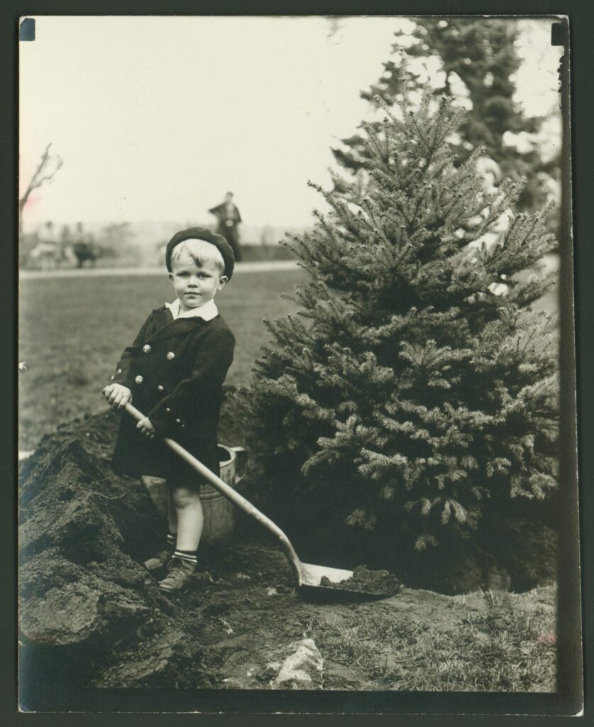 A historical black and white photo from the Arbor Day Foundation where a small boy is holding a shovel near a spruce tree that has just been planted