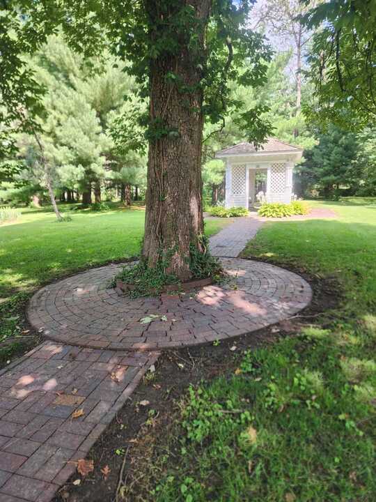 A tree on a brick pathway at the Arbor Day campus in Nebraska.