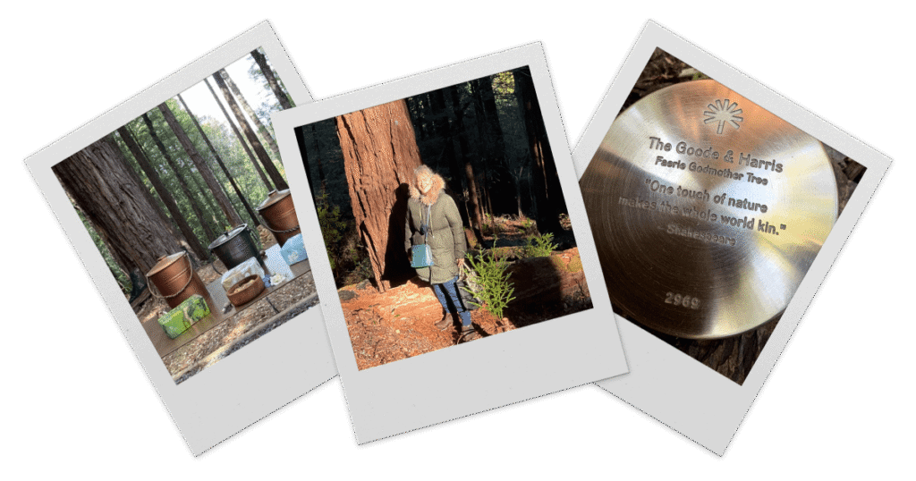 Polaroid style photos display special containers used to mix ashes and soil before a spreading in a Better Place Forests location, a woman standing by her memorial tree, and the memorial marker placed at her tree with an inscription that reads "one touch of nature makes the whole world kin" - Shakespeare