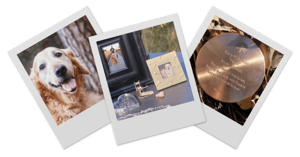 A series of polaroid style photos depicting a dog near a tree, photos and other memorabilia for the dog, and a memorial marker with the inscription "You will exist in this forest, among the trees, wild flowers and in our hearts forever"