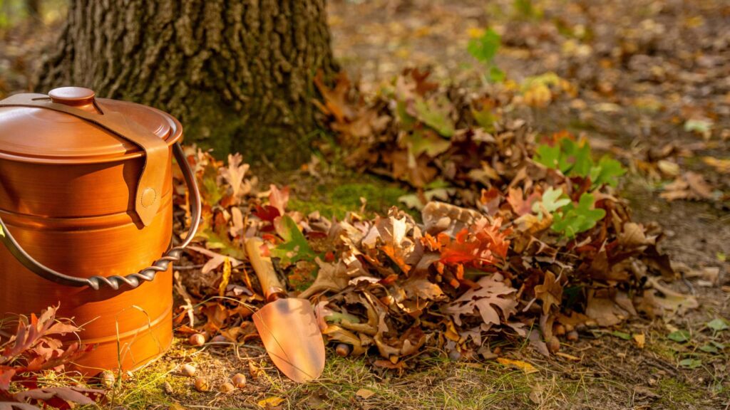 An image of the organic forest floor materials gathered at the base of a tree before a ash spreading ceremony. an option of a natural burial