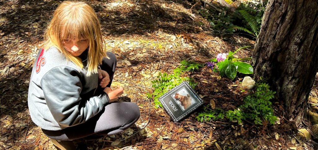 A pet tribute at a memorial tree with a frame of louie the dog. what to say when losing a dog