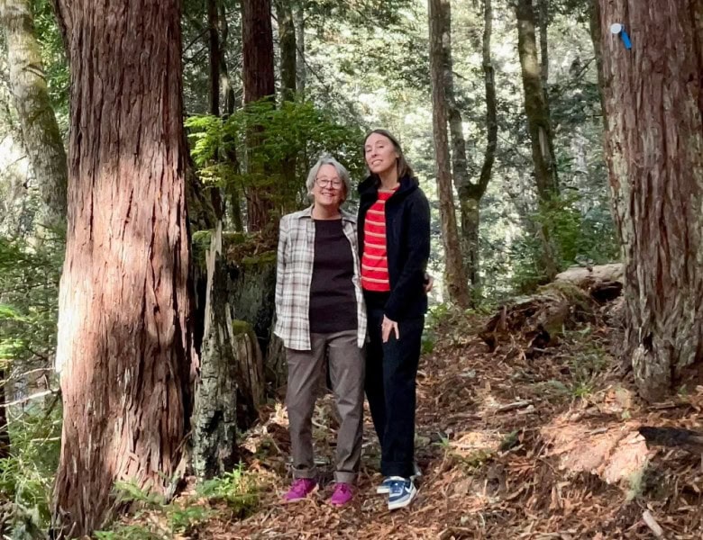 A family stands by a towering redwood tree in Better place forests Point arena, California