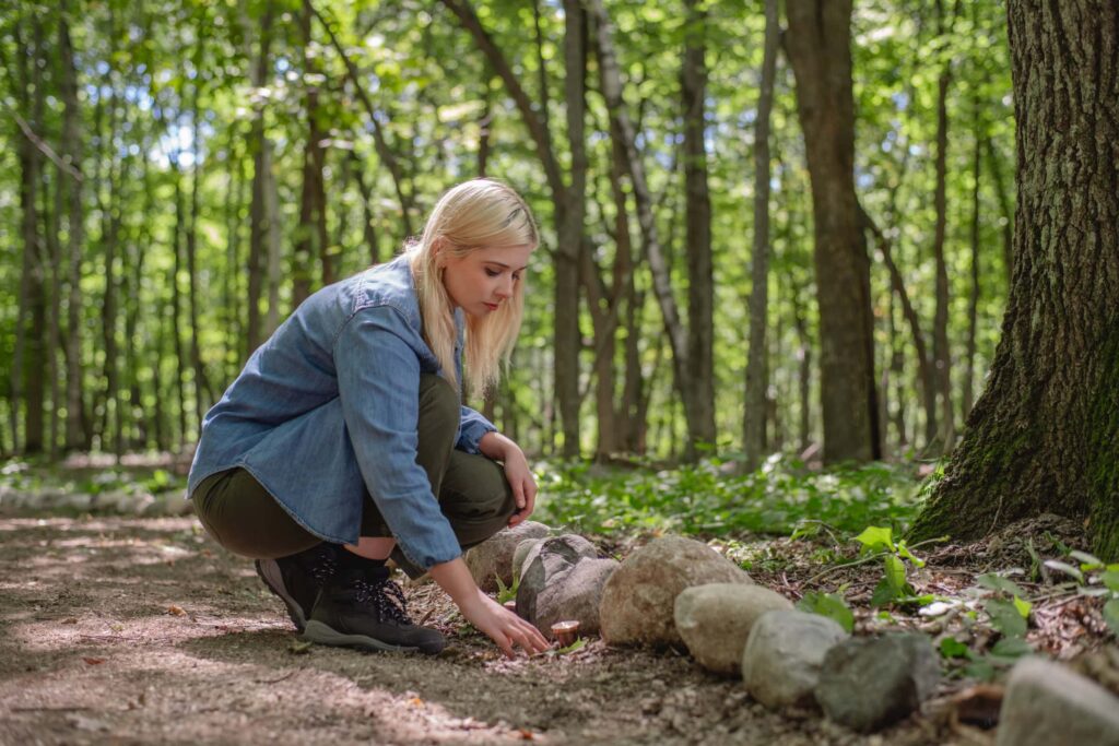 a woman walks through a spreading grove in a minnesota forest
