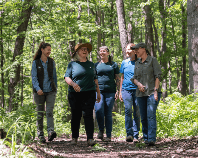 Forest guides walk through a forest as they tell us about life as a forest guide