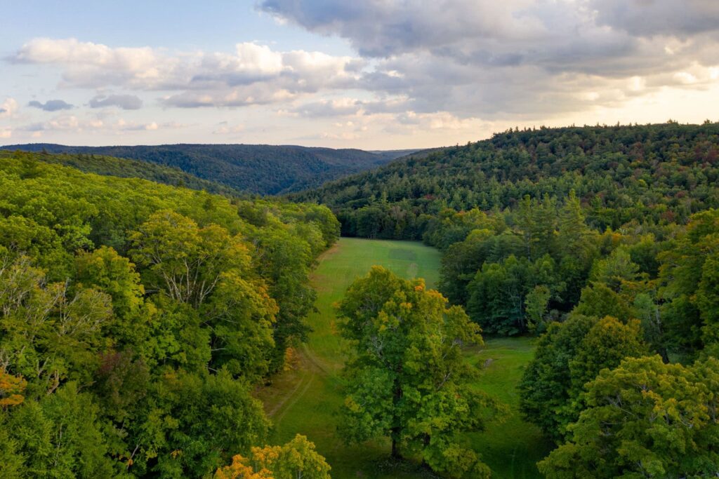aerial view of our berkshires memorial forest
