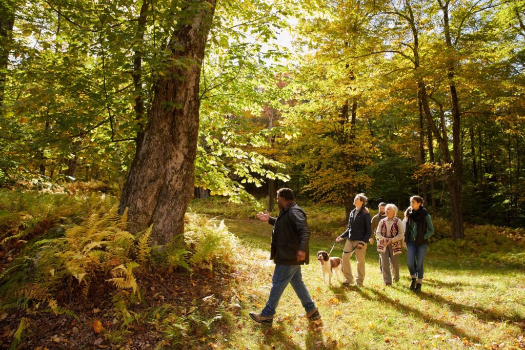 family looks at a big tree in the berkshires memorial forest