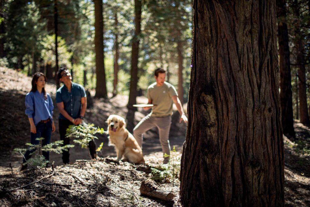 family hiking in forest in lake arrowhead