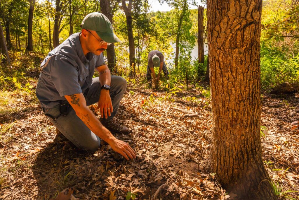memorial specialist kneels at memorial tree