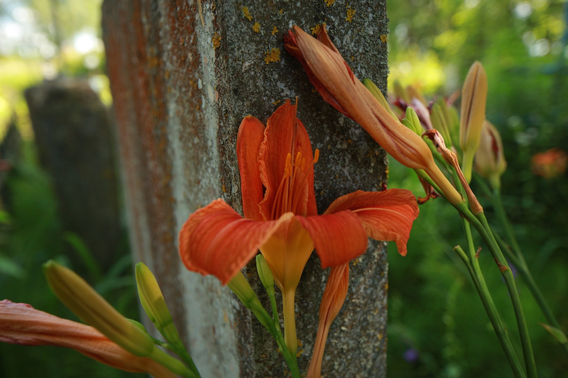 How Much Does a Headstone Cost? Tombstone Average Prices & Buying Guide