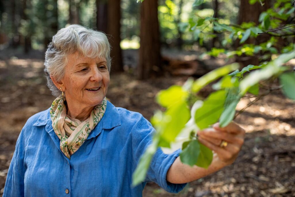 Grandmother holding the branch of a Memorial Tree to take a closer look at the leaves