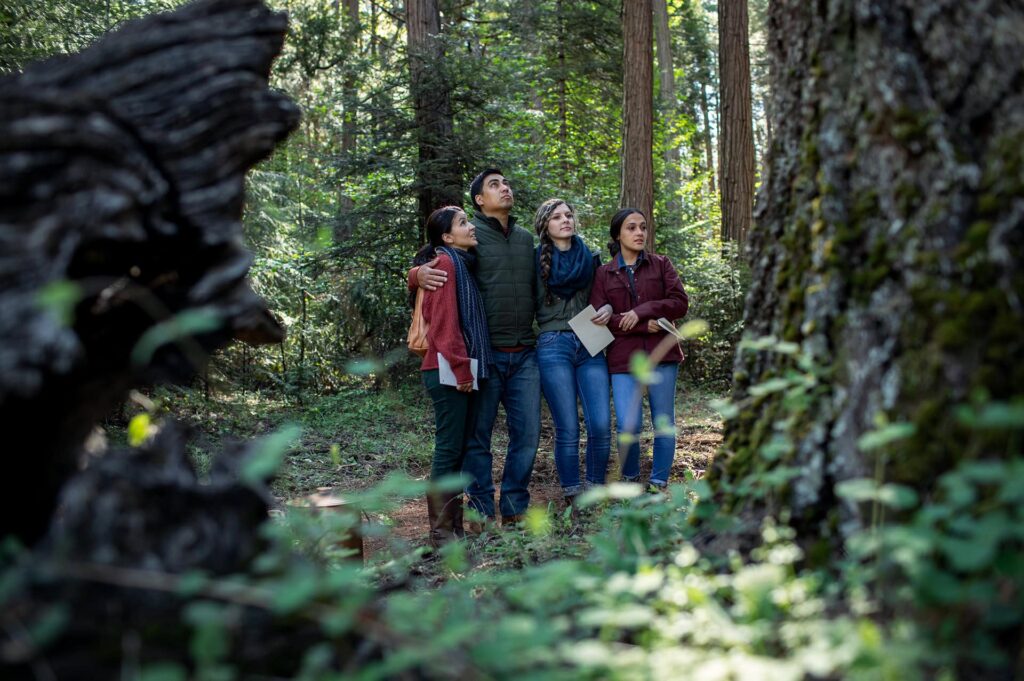 Family in a Memorial Forest looking up into the canopy of a Memorial Tree