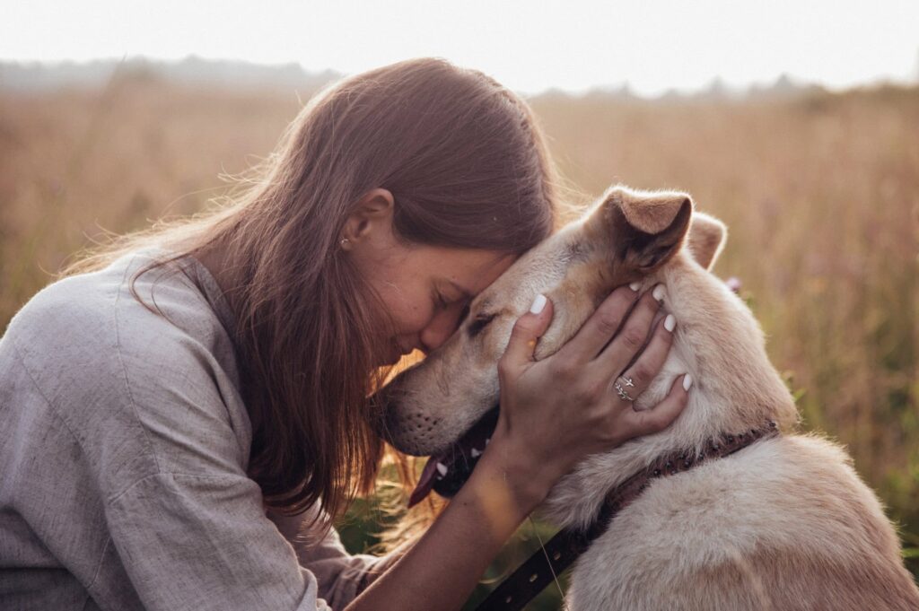 A woman and her dog in a field at sunset