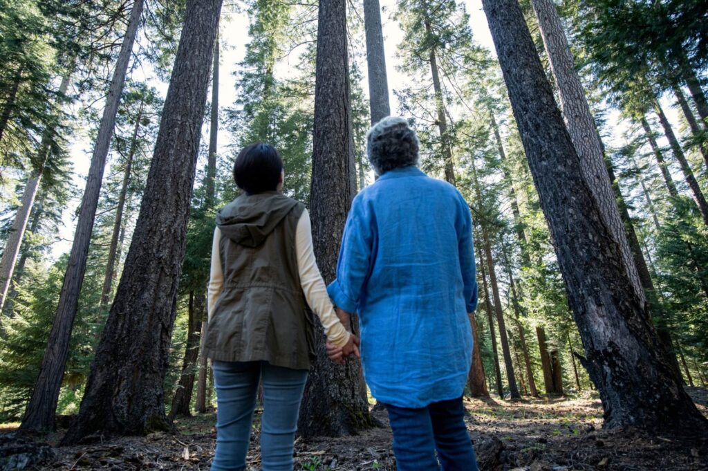 A mother and daughter hold hands in a memorial forest