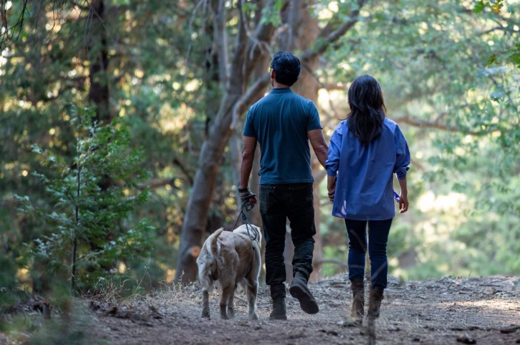 A couple walking their dog through Lake Arrowhead Memorial Forest
