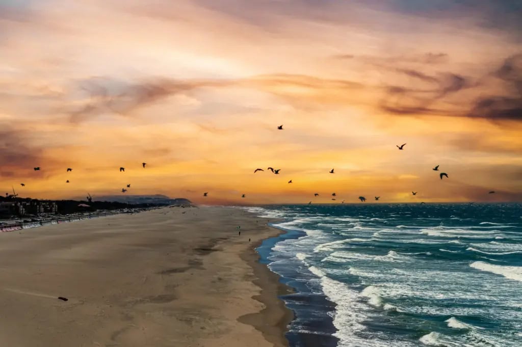 Sunsetting with seagulls over Ocean Beach in San Francisco 