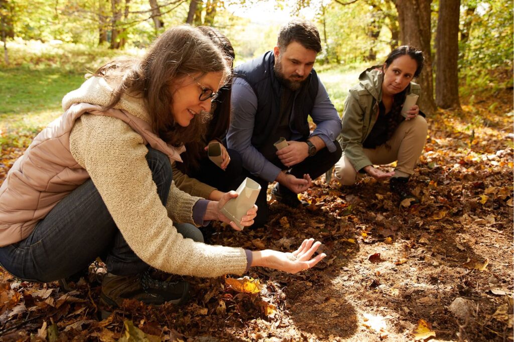 Four people kneel together on a forest floor covered in autumn leaves, examining  the soil.